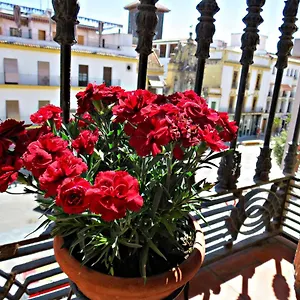Via Alfaros Córdoba